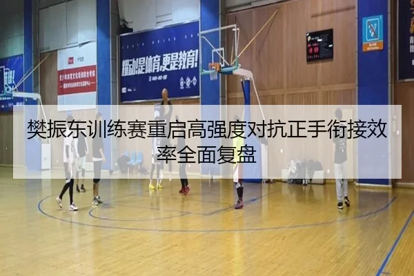 樊振东训练赛重启高强度对抗正手衔接效率全面复盘